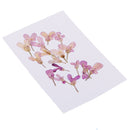 20 Pieces Pressed Dried Flower Iberis Amara Embellishments for Nail Art Decoration Resin Casting DIY Handmade Ornament