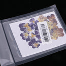 20 Pieces Real Pressed Press Dried Flower Violet Plant Specimen Filler For Nail Art Decor, Scrapbooking Card, Art Crafts, Epoxy Resin Jewelry Making