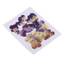 20 Pieces Real Pressed Press Dried Flower Violet Plant Specimen Filler For Nail Art Decor, Scrapbooking Card, Art Crafts, Epoxy Resin Jewelry Making