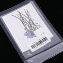 10 Pieces Real Pressed Press Dried Flower Forget me not Plant Specimen For Nail Art Decor, Scrapbooking Card, Art Crafts, Epoxy Resin Jewelry Making