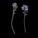 10 Pieces Real Pressed Press Dried Flower Forget me not Plant Specimen For Nail Art Decor, Scrapbooking Card, Art Crafts, Epoxy Resin Jewelry Making