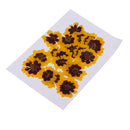 20 Pieces Real Pressed Press Dried Flower Natural Plant Specimen For Nail Art Decoration, Scrapbooking Card, DIY Art Craft, Epoxy Resin Jewelry Making