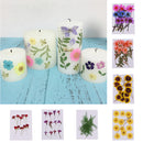 10 Pieces Natural Real Dried Flower Half Cut Rose Flower for DIY Card Making Decoration Jewelry Making Craft
