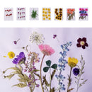 10 Pieces Natural Real Dried Flower Half Cut Rose Flower for DIY Card Making Decoration Jewelry Making Craft