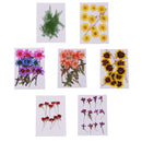 10 Pieces Natural Real Dried Flower Half Cut Rose Flower for DIY Card Making Decoration Jewelry Making Craft