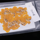 12 Pieces Natural Pressed Dried Semen Flowers Photo Frame Phone Case Decor