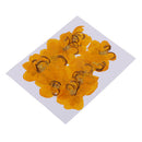 12 Pieces Natural Pressed Dried Semen Flowers Photo Frame Phone Case Decor