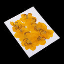 12 Pieces Natural Pressed Dried Semen Flowers Photo Frame Phone Case Decor