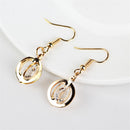 5 Pairs Circular Earring Hook Hollow Glass Earring Pendant For Beads Crystal