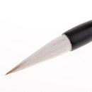 Chinese Calligraphy Brush Pen Japanese Kanji Sumi Drawing Painting Writing Art Brush Pens for Artist Beginners