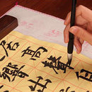 Chinese Calligraphy Brush Pen Japanese Kanji Sumi Drawing Painting Writing Art Brush Pens for Artist Beginners
