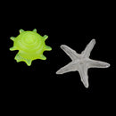 5 Pieces Conch Shell Glow in the Dark Stones, Garden Pebbles Rocks for Outdoor, Walkway, Window, Yard Grass, and Fish Tank Decoration