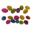 15Pcs Mixed Natural Pressed Dried Flowers Fruit Core For DIY Jewelry Making