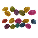 15Pcs Mixed Natural Pressed Dried Flowers Fruit Core For DIY Jewelry Making
