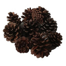 10 Pieces Rustic Natural Acorns Dried Flowers Ornaments For Christmas Wedding Indoor Outdoor Events Party Decorations Vase Bowl Filler Displays Craft