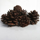 10 Pieces Rustic Natural Acorns Dried Flowers Ornaments For Christmas Wedding Indoor Outdoor Events Party Decorations Vase Bowl Filler Displays Craft