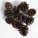 10 Pieces Rustic Natural Acorns Dried Flowers Ornaments For Christmas Wedding Indoor Outdoor Events Party Decorations Vase Bowl Filler Displays Craft