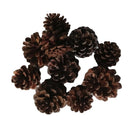 10 Pieces Rustic Natural Acorns Dried Flowers Ornaments For Christmas Wedding Indoor Outdoor Events Party Decorations Vase Bowl Filler Displays Craft