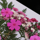 Various Pressed Leaves PressFlower Real Dried Flower Plant Specimen Filler For Nail Art, Scrapbooking Card, Art Crafts, Epoxy Resin Jewelry Craft DIY