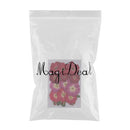 Multiple Beautiful Real Pressed Flower Dried Flowers Rose Flowers for Art Craft Scrapbooking Resin Jewelry Craft Making Phone Case DIY