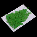 12 Pieces 11.5-13cm Long Real Pressed Leaves Dried Flower Embellishments for Card making Scrapbooking Art Crafts DIY Handmade Gifts Floral Decorations