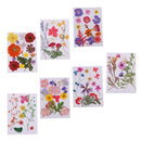 Multiple Beautiful Real Pressed Flower Natural Dried Flowers for Arts Crafts Scrapbooking Resin Jewelry Craft Making Phone Case DIY Materials