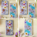 Multiple Beautiful Real Pressed Flower Natural Dried Flowers for Arts Crafts Scrapbooking Resin Jewelry Craft Making Phone Case DIY Materials