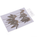 12 Pcs Natural Dried Pressed Flowers Delphinium For DIY Scrapbooking Crafts