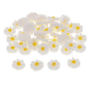 50 Pieces DIY Flatbacks Resin Flat Back Daisy Flowers Cabochon Buttons Scrapbooking Slime Charms DIY Embellishment Craft for Jewelry Phone Decoration