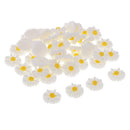 50 Pieces DIY Flatbacks Resin Flat Back Daisy Flowers Cabochon Buttons Scrapbooking Slime Charms DIY Embellishment Craft for Jewelry Phone Decoration