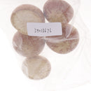 5x Real Dried Small Mushroom Photo Props Natural Ornaments Garden Home Decor