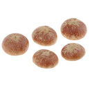 5x Real Dried Small Mushroom Photo Props Natural Ornaments Garden Home Decor