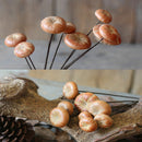 5x Real Dried Small Mushroom Photo Props Natural Ornaments Garden Home Decor