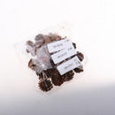 50 Pieces Mini Decorative Pinecone Pine Cones for Vase Bowl Filler Displays Crafts Home Christmas Table Decoration 20mm