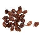 50 Pieces Mini Decorative Pinecone Pine Cones for Vase Bowl Filler Displays Crafts Home Christmas Table Decoration 20mm