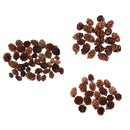 50 Pieces Mini Decorative Pinecone Pine Cones for Vase Bowl Filler Displays Crafts Home Christmas Table Decoration 20mm