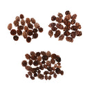 50 Pieces Mini Decorative Pinecone Pine Cones for Vase Bowl Filler Displays Crafts Home Christmas Table Decoration 20mm