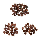 50 Pieces Mini Decorative Pinecone Pine Cones for Vase Bowl Filler Displays Crafts Home Christmas Table Decoration 20mm