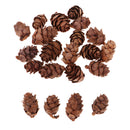 50 Pieces Mini Decorative Pinecone Pine Cones for Vase Bowl Filler Displays Crafts Home Christmas Table Decoration 20mm