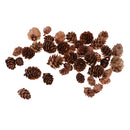 50 Pieces Mixed Size Mini Natural Rustic Dried Pine Cones In Bulk For Christmas Party Ornament Florists Gift Wrapping Decoration