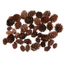 50 Pieces Mixed Size Mini Natural Rustic Dried Pine Cones In Bulk For Christmas Party Ornament Florists Gift Wrapping Decoration