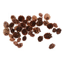 50 Pieces Mixed Size Mini Natural Rustic Dried Pine Cones In Bulk For Christmas Party Ornament Florists Gift Wrapping Decoration