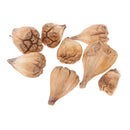 8 Pieces Natural Dried Flower Fruit Buddha's Hand Ornament for DIY Garland Florists Craft Home Party Garden Decoration