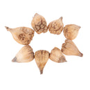 8 Pieces Natural Dried Flower Fruit Buddha's Hand Ornament for DIY Garland Florists Craft Home Party Garden Decoration