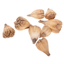 8 Pieces Natural Dried Flower Fruit Buddha's Hand Ornament for DIY Garland Florists Craft Home Party Garden Decoration