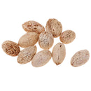 12 Pieces Natural Wood Mango Mini Dried Flowers Table Ornaments Home Room Party Christmas Decorations DIY Scented Sachets - 20-25mm