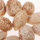 12 Pieces Natural Wood Mango Mini Dried Flowers Table Ornaments Home Room Party Christmas Decorations DIY Scented Sachets - 20-25mm