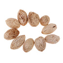 12 Pieces Natural Wood Mango Mini Dried Flowers Table Ornaments Home Room Party Christmas Decorations DIY Scented Sachets - 20-25mm