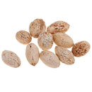 12 Pieces Natural Wood Mango Mini Dried Flowers Table Ornaments Home Room Party Christmas Decorations DIY Scented Sachets - 20-25mm