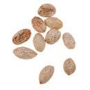 12 Pieces Natural Wood Mango Mini Dried Flowers Table Ornaments Home Room Party Christmas Decorations DIY Scented Sachets - 20-25mm
